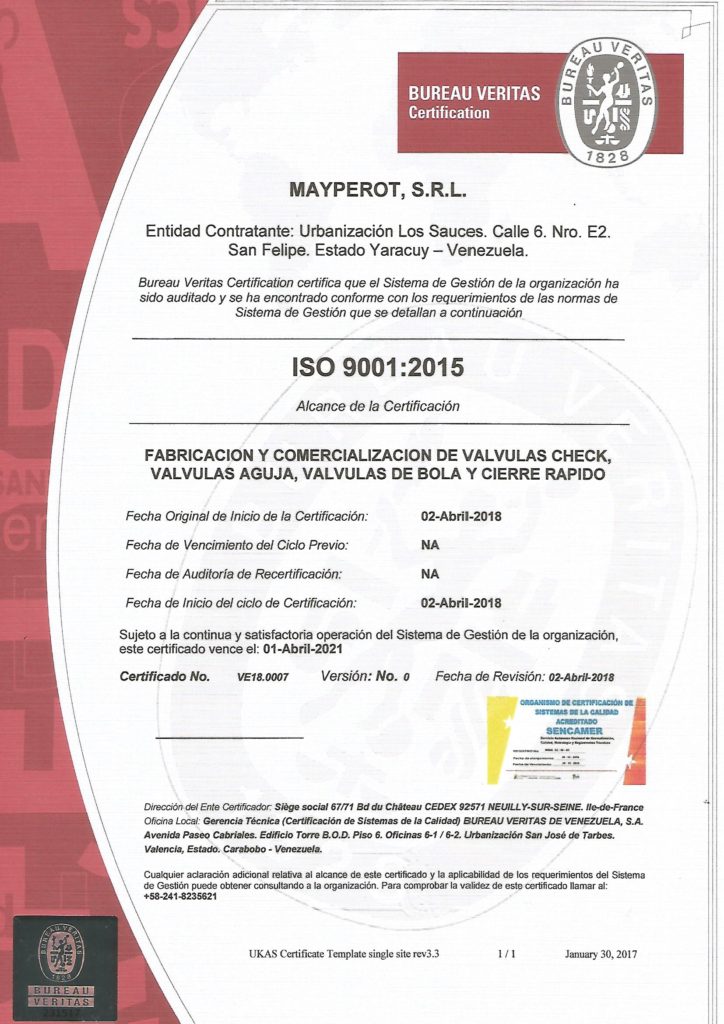 Ingeniero Publicista Marketing paginas web